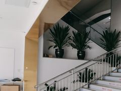 -美可普口腔医院(东街分店)