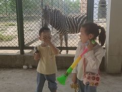 -宿豫区运河湾森林动物园