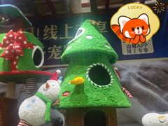 -山姆会员商店(上海浦东店)