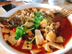 红烧狗鱼-煲来饱去冷水鱼