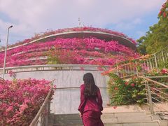 -深圳仙湖植物园-停车场