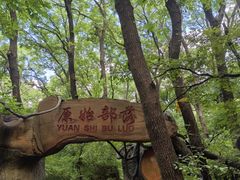 -大青沟风景区