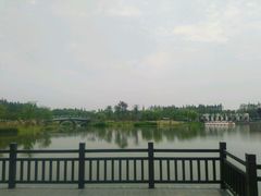 -上海长兴岛郊野公园