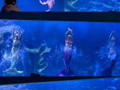 -多彩贵州城极地海洋世界