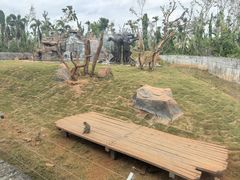 -海南热带野生动植物园