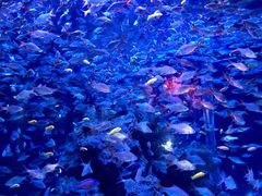 -成都浩海立方海洋公园