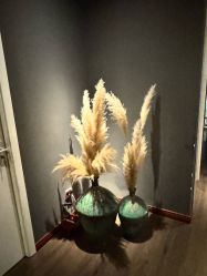 -美玫美容SPA护理中心