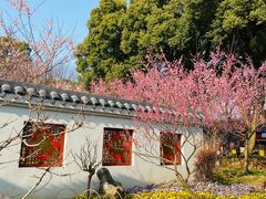 -无锡梅园公园