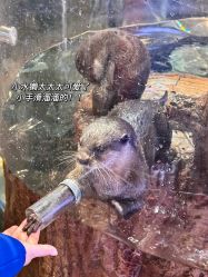 -Zoolung Zoolung动物主题公园(海信广场店)