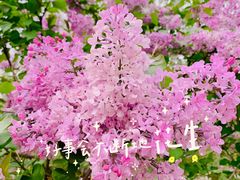 -颐和园