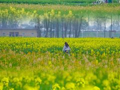 -中国天府农业博览园