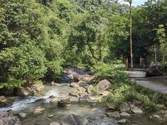 -广州白江湖森林公园