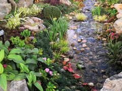 -东莞植物园