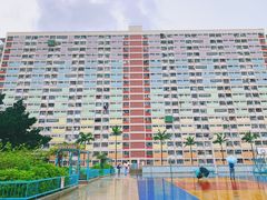-彩虹村