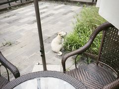 -田园东方蜜桃村的田野营地