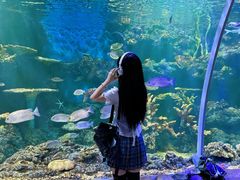 -华夏文旅海洋公园