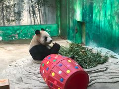 -杭州野生动物世界