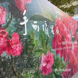 M50上海当代艺术周