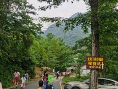 -龙窝子