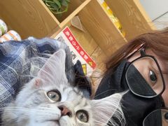 -中农大我爱我爱动物医院·核磁CT·猫病·24小时夜诊中心(石佛营店)