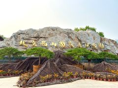 -北京西山国家森林公园