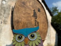 -乌镇景区