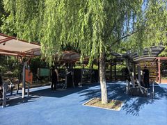 -大兴滨河森林公园