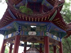 -洪湖生态旅游区