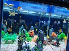 -烟台海昌鲸鲨海洋公园