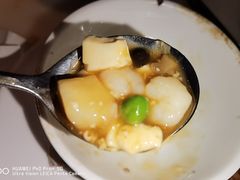 豆腐-佬肥猫(国华广场店)