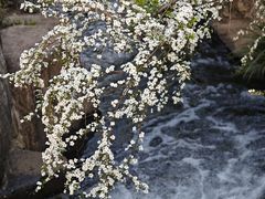 -中国茶叶博物馆(双峰馆区)