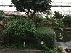 -汤山翠谷生态餐厅