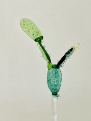 -烬·烧玻璃diy灯工玻璃艺术·银饰工作室