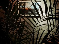 -zarah(鼓楼店)