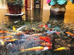 -顺峰(南二环店)