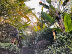 -腾冲洞山温泉村