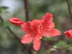 -楠溪江风景名胜区
