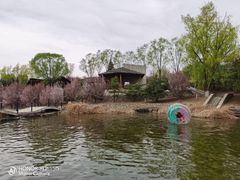 -青龙湖公园