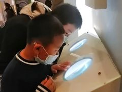 -辽宁古生物博物馆