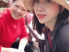 -两河城市森林公园