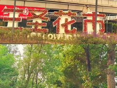 -三圣花乡旅游区