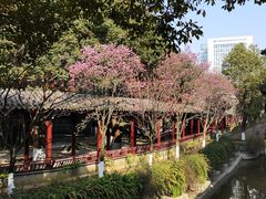 -龙潭水乡
