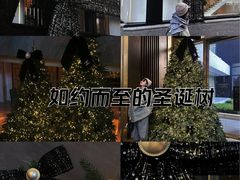 -王府半岛酒店