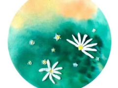 -东方童画少儿美术(金桥体验馆)