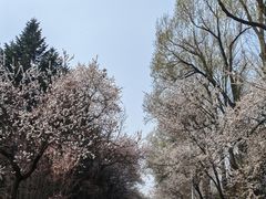 -吉林大学(南岭校区)