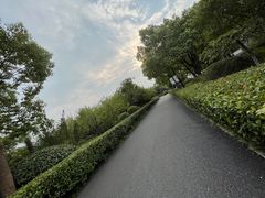 -合肥三国新城遗址公园