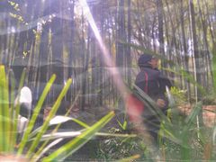 -青龙山国家森林公园