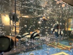 -荣轩(新荣记环球金融中心店)