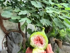 -南京市民俗博物馆(甘熙故居)