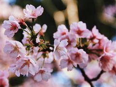 -静安雕塑公园